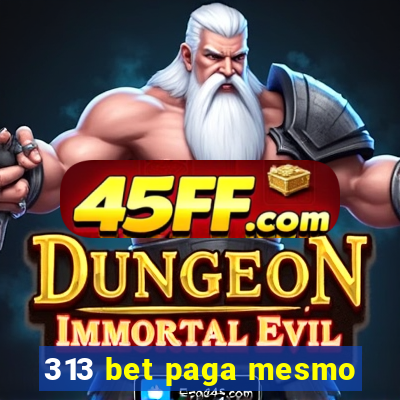 313 bet paga mesmo